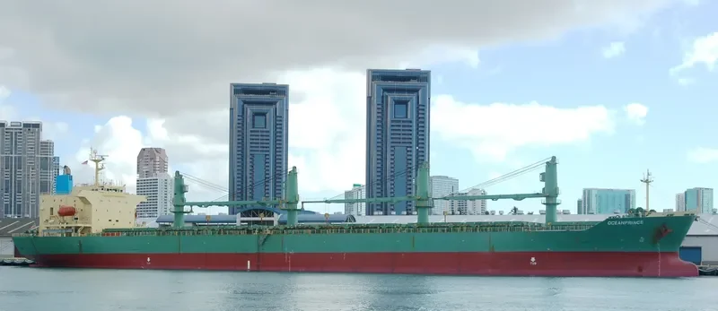 OCEANPRINCE Bulk Carrier IMO 9195286 photo 7