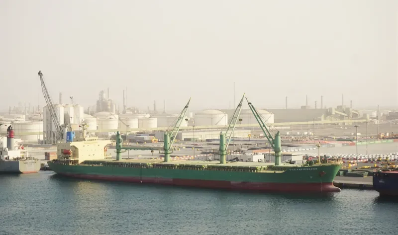 OCEANPRINCESS General Cargo IMO 9195298