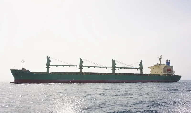 OCEANPRINCESS General Cargo IMO 9195298 photo 3
