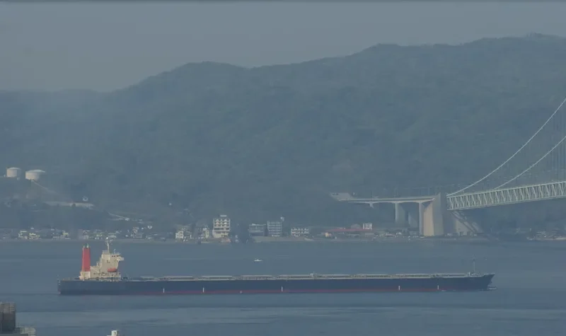 NEW ATHENS Bulk Carrier IMO 9195303 photo 5