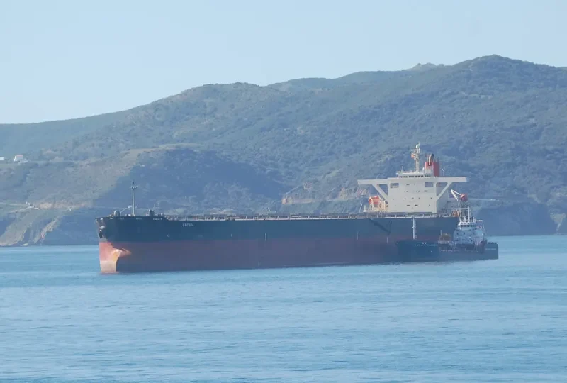 NEW ATHENS Bulk Carrier IMO 9195303 photo 7