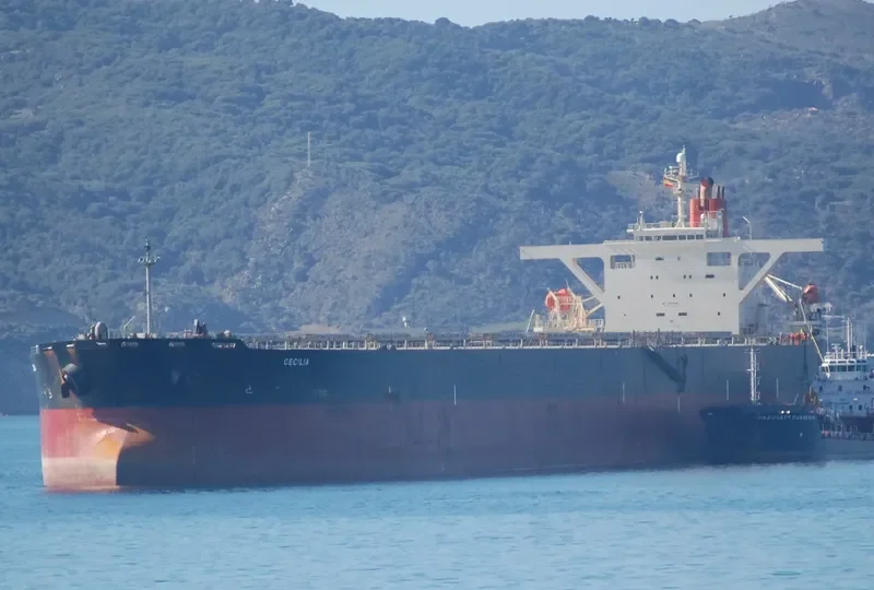 NEW ATHENS Bulk Carrier IMO 9195303 photo 9