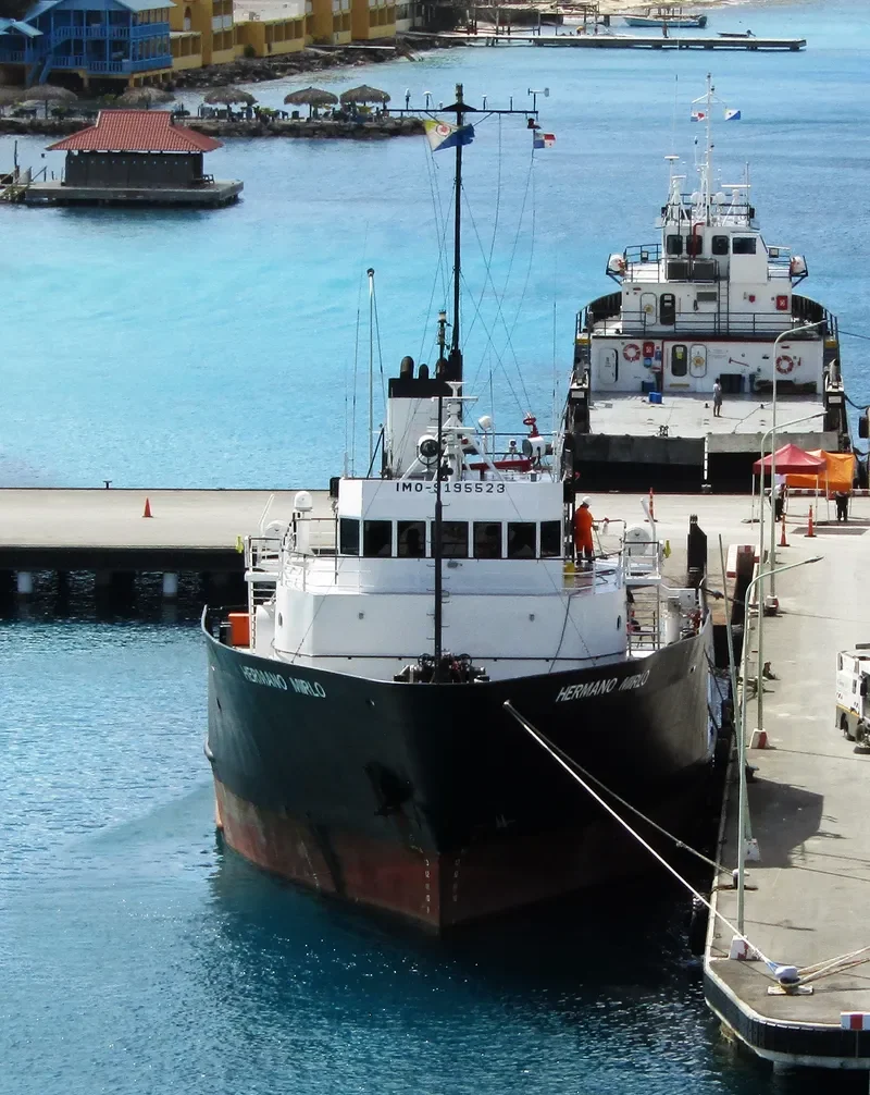 HERMANO MIRLO Offshore Vessel IMO 9195523 photo 3