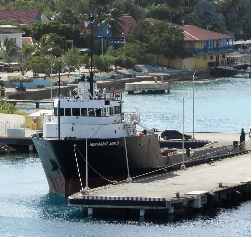 HERMANO MIRLO Offshore Vessel IMO 9195523 photo 4