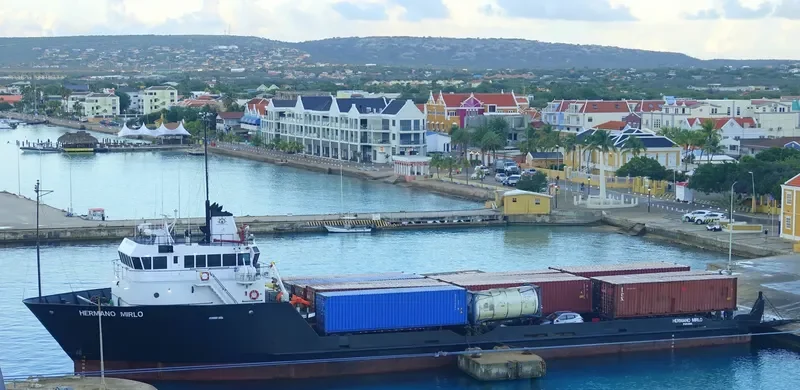 HERMANO MIRLO Offshore Vessel IMO 9195523 photo 5