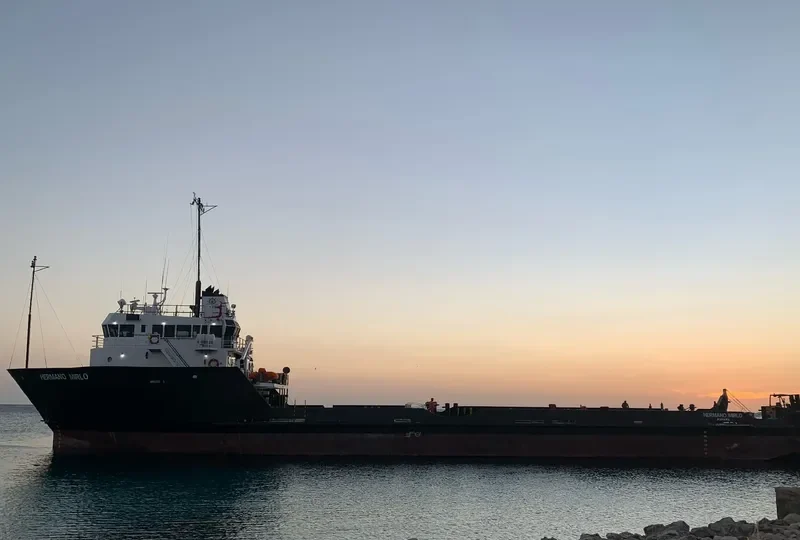 HERMANO MIRLO Offshore Vessel IMO 9195523 photo 7