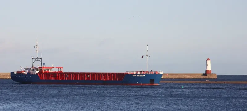 H&S BRAVERY General Cargo IMO 9195547