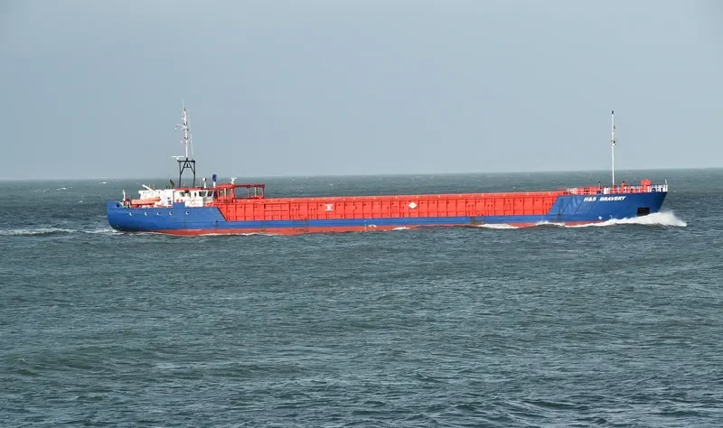 H&S BRAVERY General Cargo IMO 9195547 photo 7