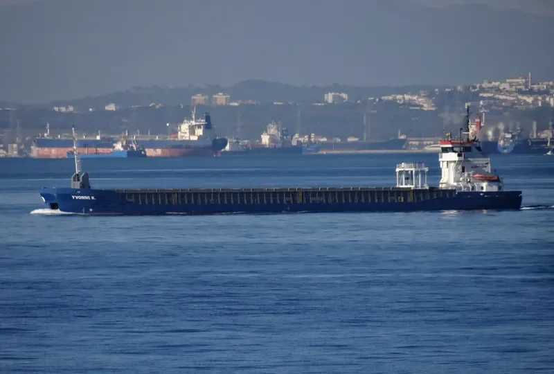 SEA MELODY General Cargo IMO 9195638 photo 8