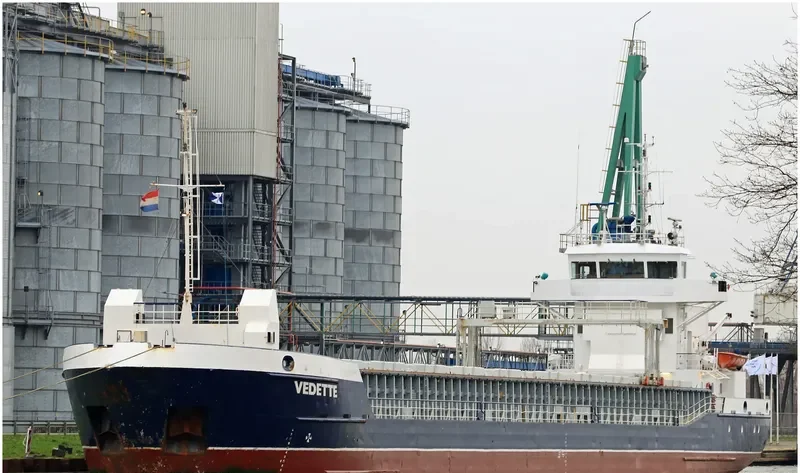 BALTIC MOON General Cargo IMO 9195729