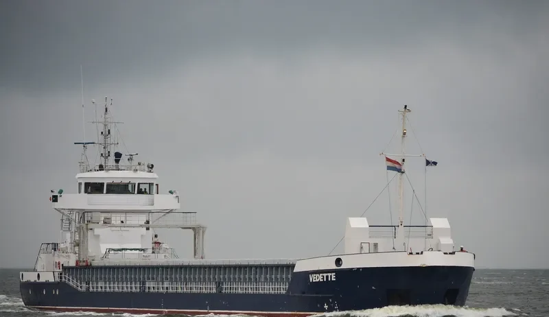 BALTIC MOON General Cargo IMO 9195729 photo 7