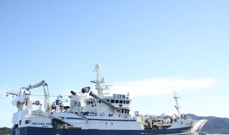 SELVAG SENIOR General Cargo IMO 9195793 photo 4