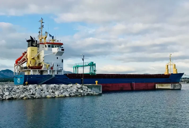 TAHA General Cargo IMO 9195860