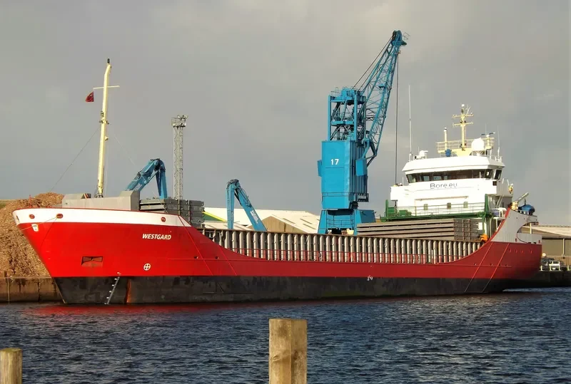 WESTBORG Container Ship IMO 9196187