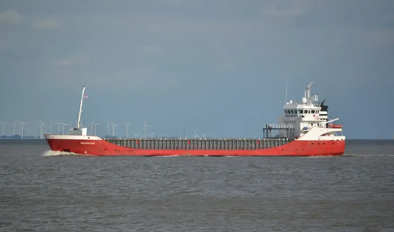 WESTBORG Container Ship IMO 9196187 photo 4