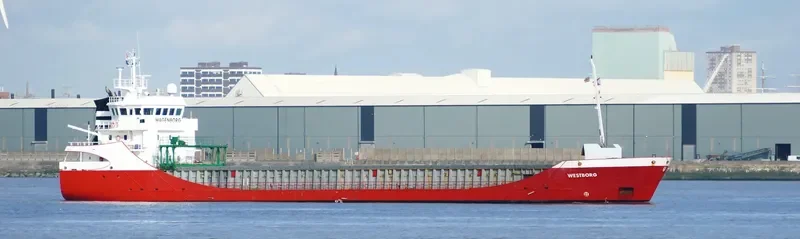 WESTBORG Container Ship IMO 9196187 photo 9