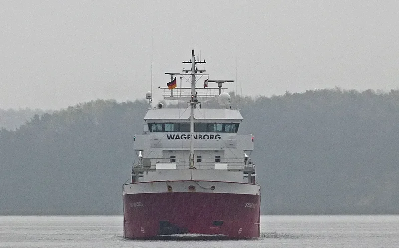 SYDBORG General Cargo IMO 9196204 photo 6