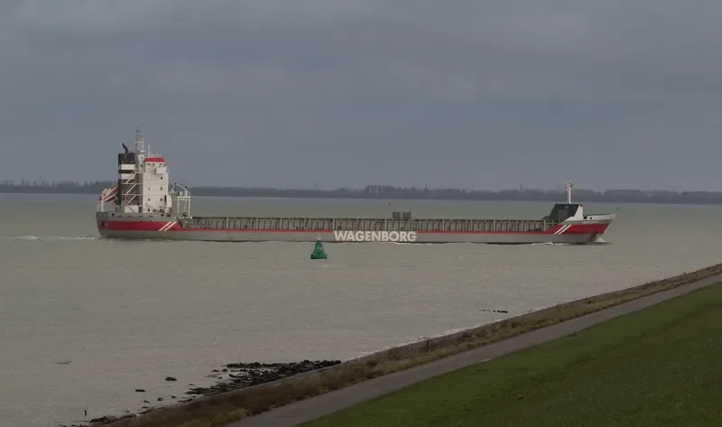 VAASABORG Container Ship IMO 9196242