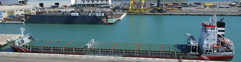 VAASABORG Container Ship IMO 9196242 photo 10