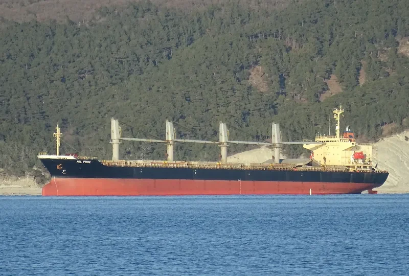 MANTA PENYEZ General Cargo IMO 9196307 photo 7