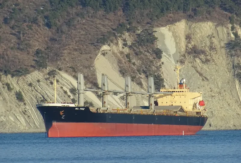 MANTA PENYEZ General Cargo IMO 9196307 photo 8
