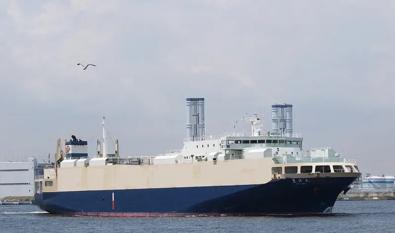 SEA CRUISER 2 General Cargo IMO 9196319 photo 3