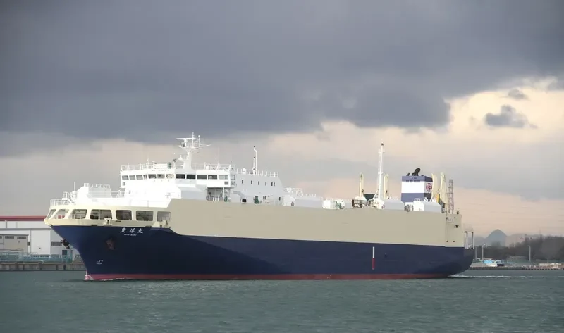SEA CRUISER 2 General Cargo IMO 9196319 photo 4