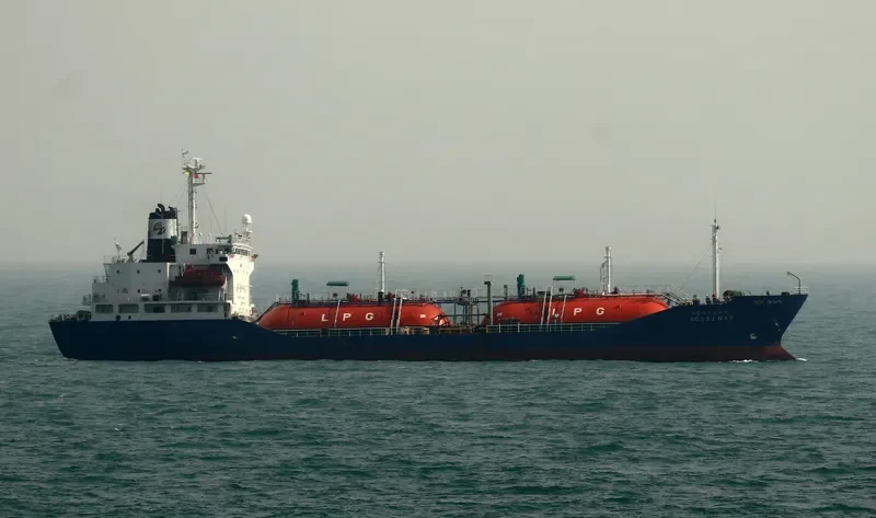NO.5 SJ GAS General Cargo IMO 9196333 photo 2