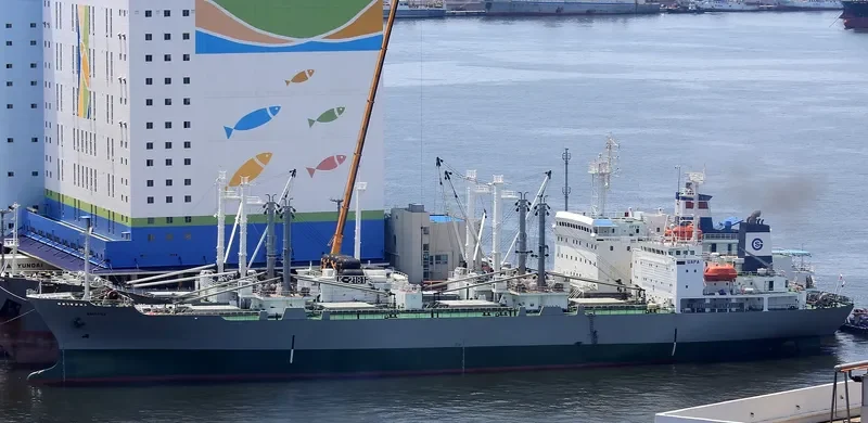 VYSOTSK General Cargo IMO 9196357