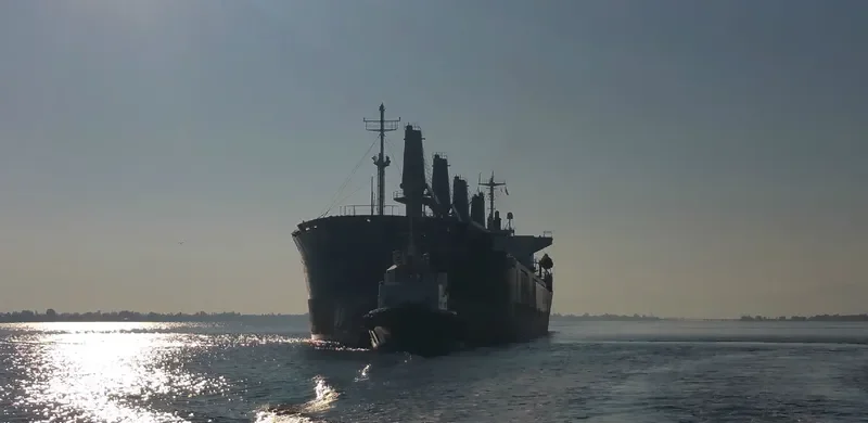 ABM JUSTICE Bulk Carrier IMO 9196371