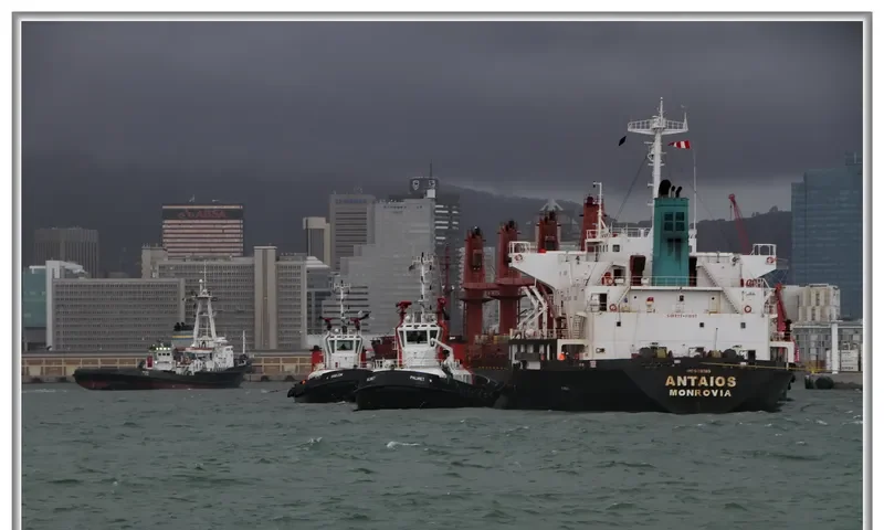 ANTAIOS Bulk Carrier IMO 9196383 photo 2