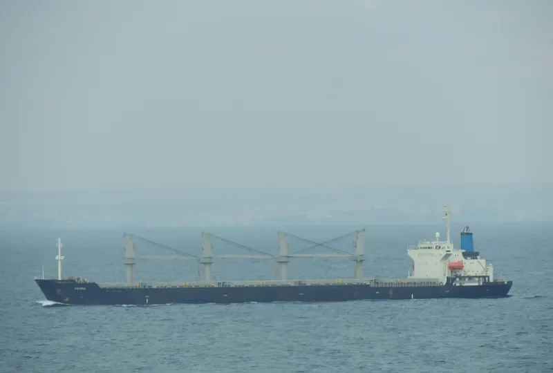 PAGONA Bulk Carrier IMO 9196395