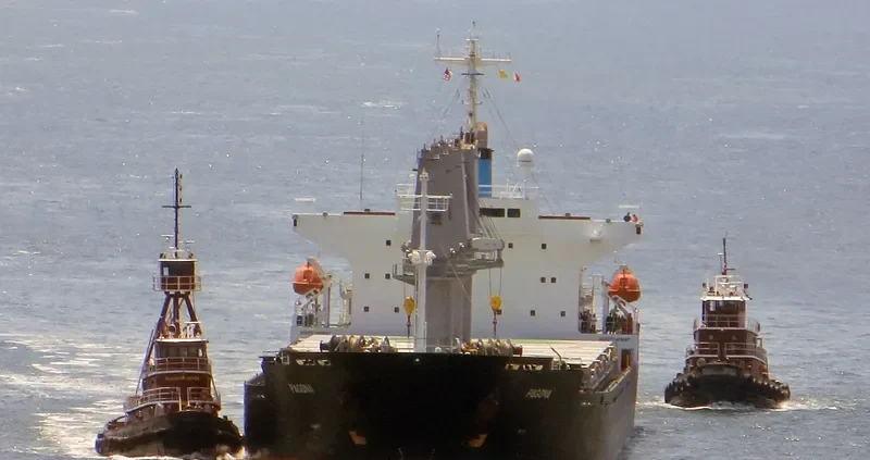 PAGONA Bulk Carrier IMO 9196395 photo 4