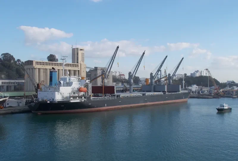 PAGONA Bulk Carrier IMO 9196395 photo 6