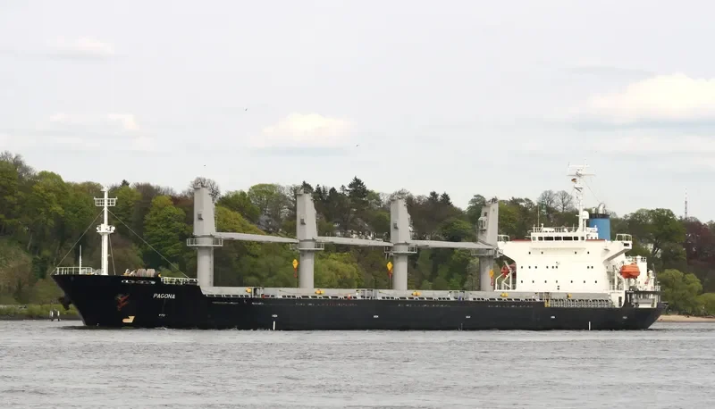 PAGONA Bulk Carrier IMO 9196395 photo 7
