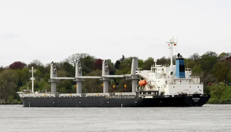 PAGONA Bulk Carrier IMO 9196395 photo 8