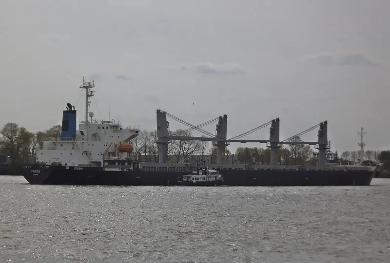 PAGONA Bulk Carrier IMO 9196395 photo 9