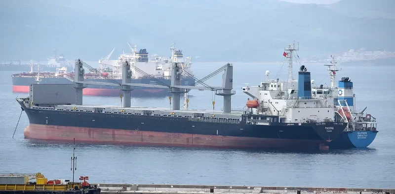 PAGONA Bulk Carrier IMO 9196395 photo 10