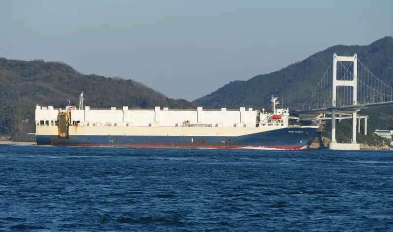 TRANS FUTURE 2 General Cargo IMO 9196400 photo 2