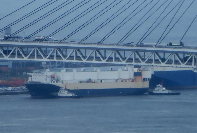 TRANS FUTURE 2 General Cargo IMO 9196400 photo 7