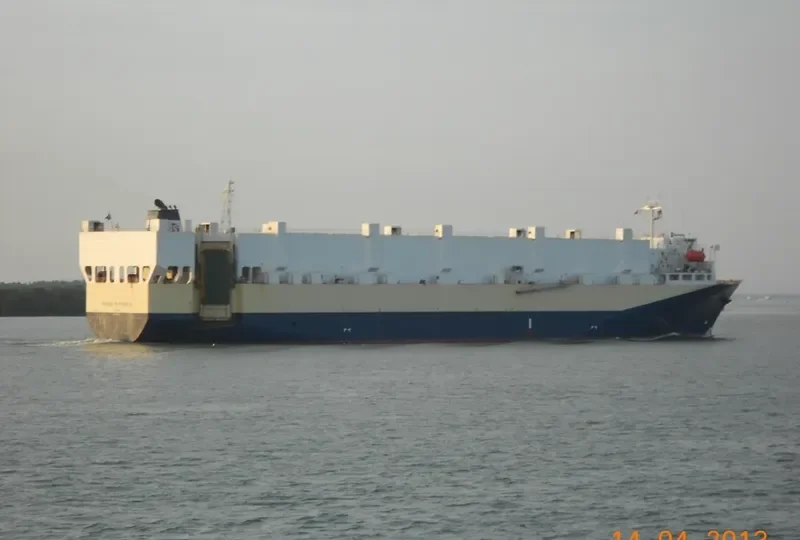 TRANS FUTURE 2 General Cargo IMO 9196400 photo 8