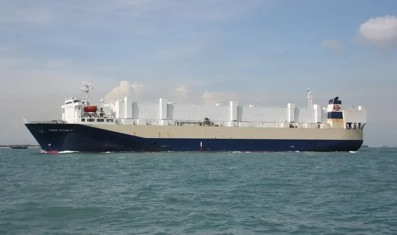TRANS FUTURE 2 General Cargo IMO 9196400 photo 10