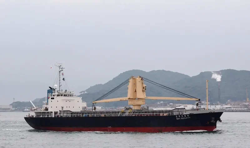 SKY BEAUTY General Cargo IMO 9196462 photo 8