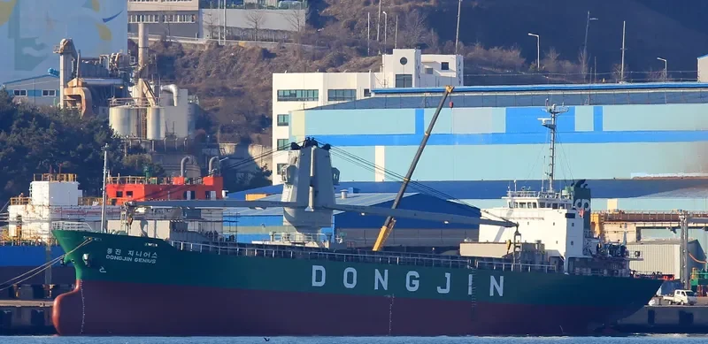 DONGJIN GENIUS General Cargo IMO 9196474 photo 3