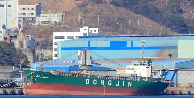DONGJIN GENIUS General Cargo IMO 9196474 photo 5