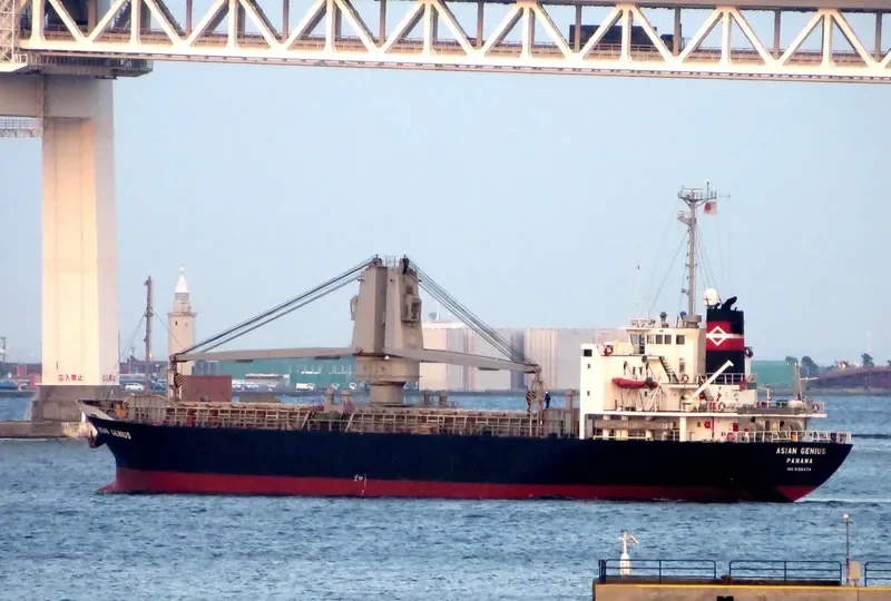 DONGJIN GENIUS General Cargo IMO 9196474 photo 8
