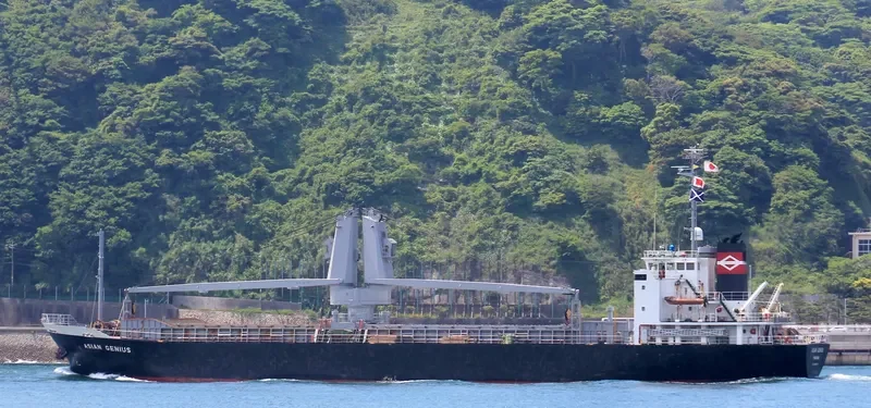 DONGJIN GENIUS General Cargo IMO 9196474 photo 9