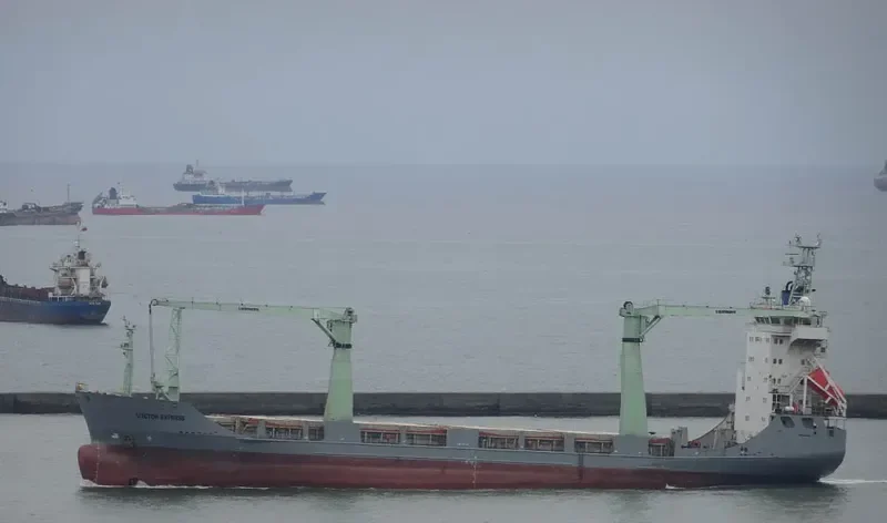 ELENA General Cargo IMO 9196668
