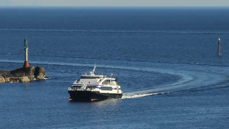 FJORDPRINSESSEN Passenger Ship IMO 9196735 photo 2