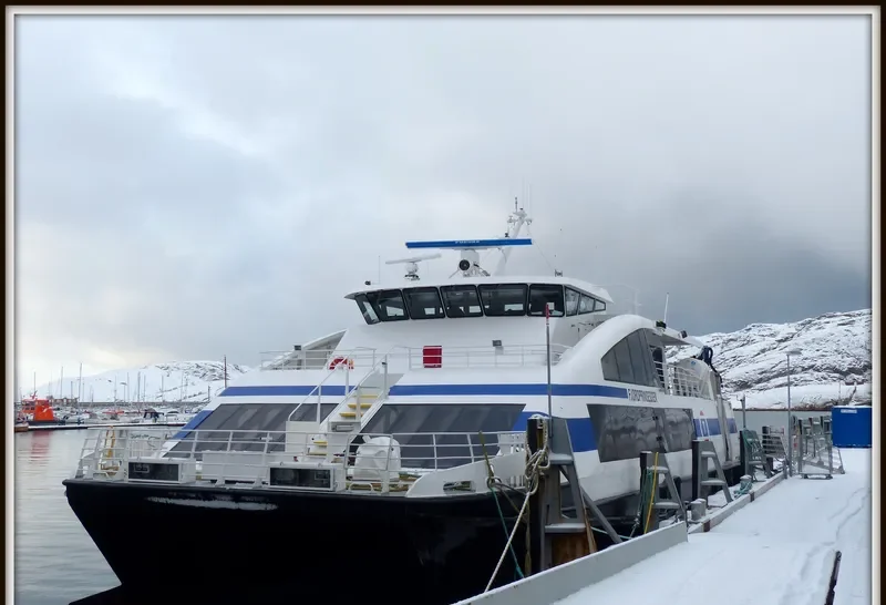 FJORDPRINSESSEN Passenger Ship IMO 9196735 photo 4